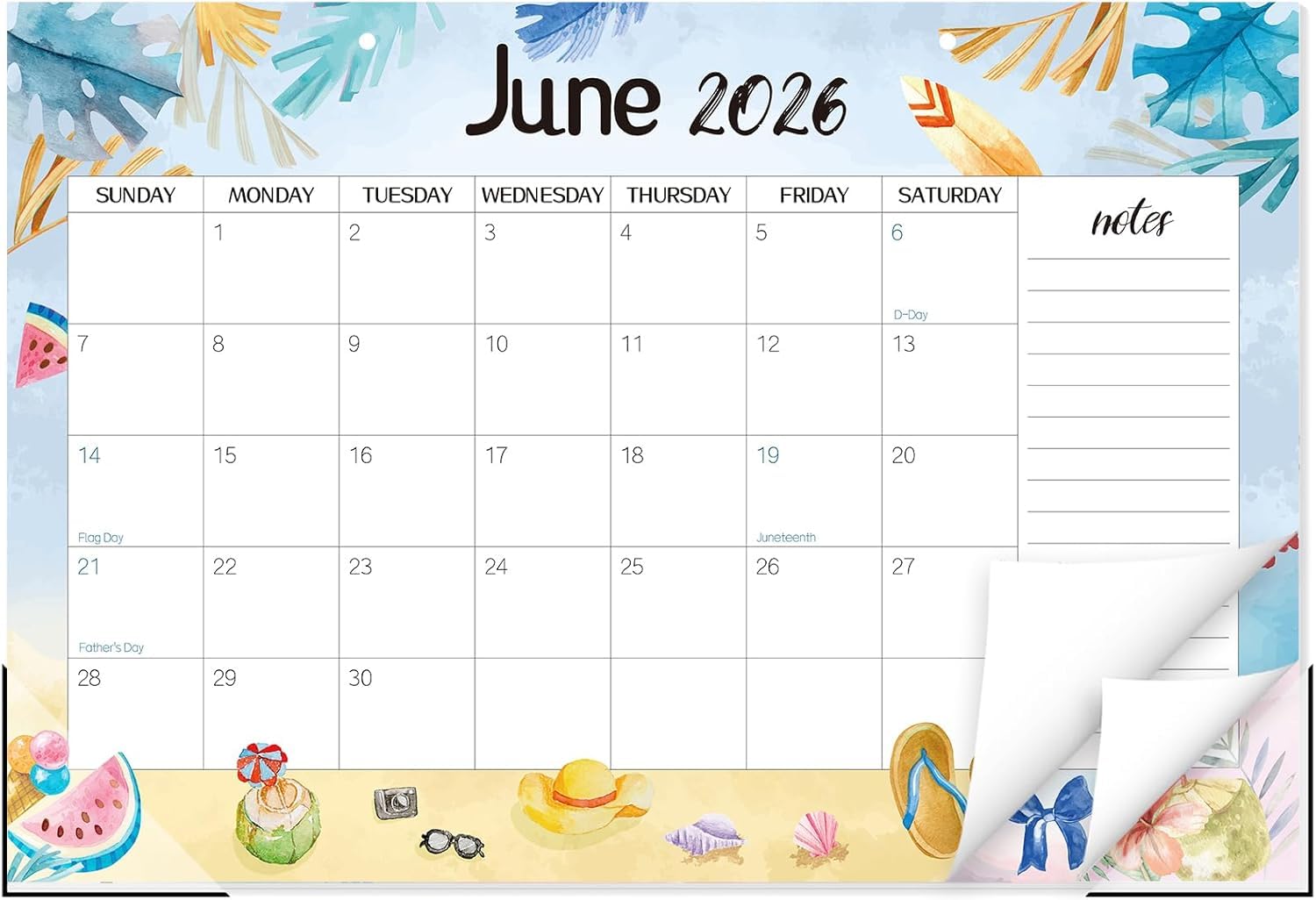 Guasslee Desk Calendar 2026-2027, 19 Month Jun 2026-Dec 2027, 17" X 11.5"