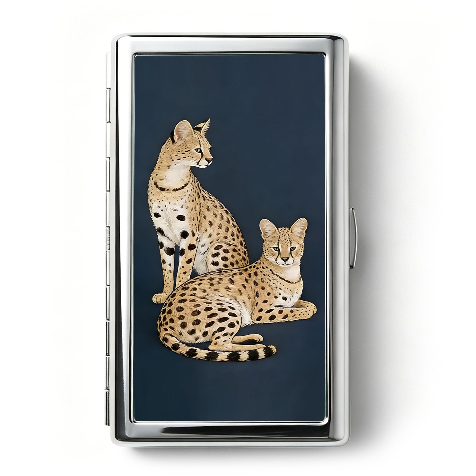 Vintage Art Deco Versatile Card & Cash Case, Slim Metal Wallet for Women Men Credit ID Business Cards (#A)
