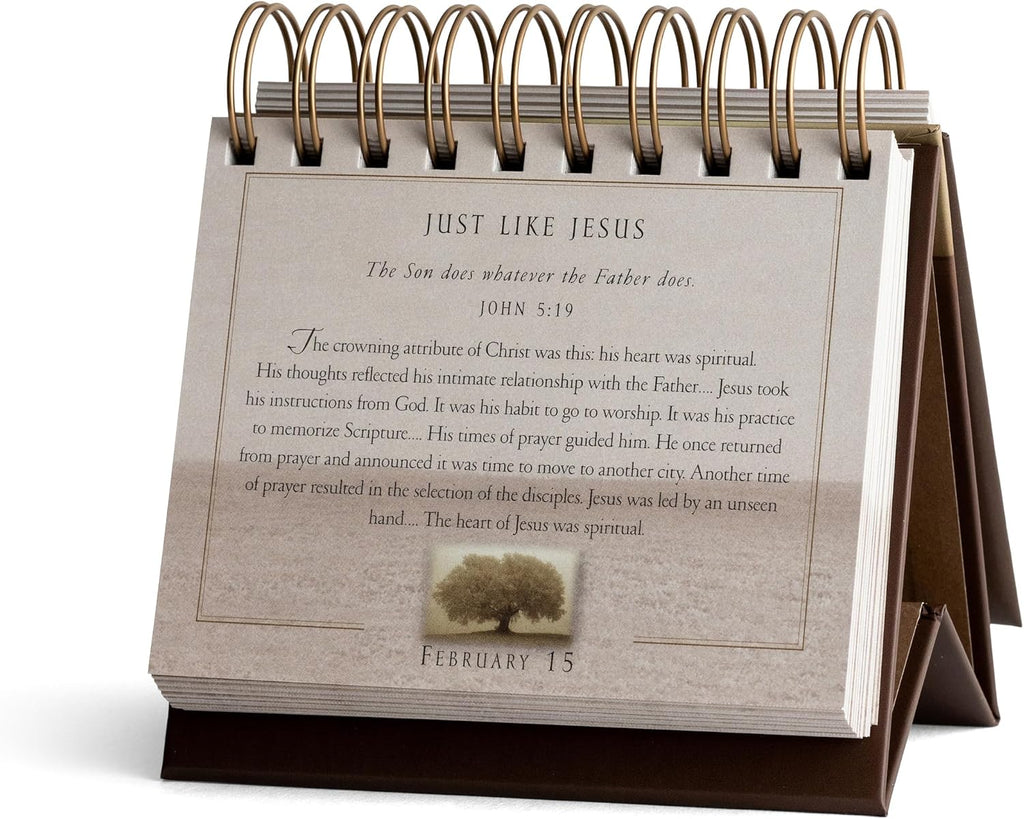 Hallmark DaySpring 365-Day Perpetual Calendar (Max Lucado, Grace)