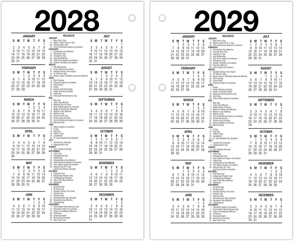 AT-A-GLANCE 2027 Desk Calendar Refill, Daily Desk Pad Refill, 3.5" x 6", Standard, Loose-Leaf, Recycled (E717R5027)