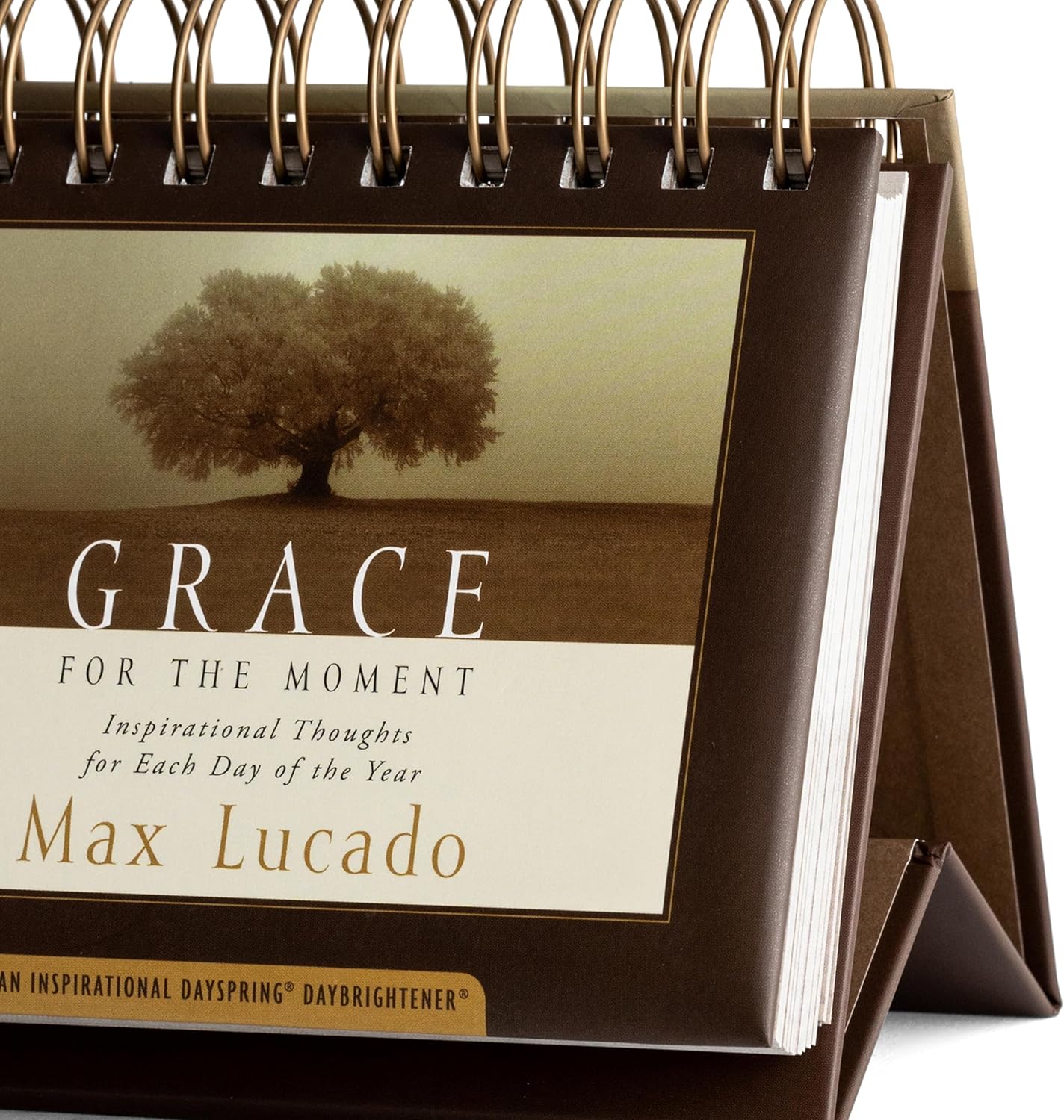 Hallmark DaySpring 365-Day Perpetual Calendar (Max Lucado, Grace)